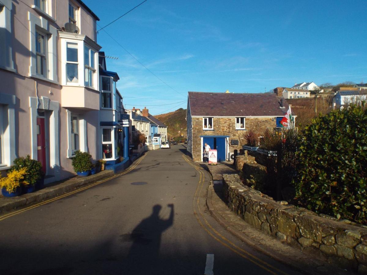 Pendyffryn Manor Bed & Breakfast Little Haven Luaran gambar